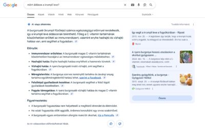 Megérkezett a Google AI alapú áttekintés – Mi lesz így a SEO-val?